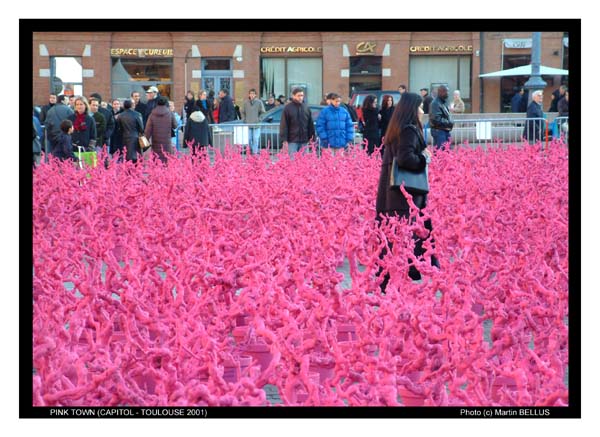 Mesto Toulouse je zname ako ruzove mesto (pink town) vdaka tehlovym stavbam, ktore su tam dominantne. Ulice tak posobia oranzovym dojmom (neviem teda preco "pink" :-). Fotografia zachycuje podivnu akciu na hlavnom namesti Capitol. Po celej ploche boli rozmiestnene na ruzovo namalovane ruzove kricky (aj spolu s kvatinacmi). Nepytajte sa ma, co to ma predstavovat, sam neviem. Je to zrejme nejaka tradicia "ruzoveho" mesta. :-) 